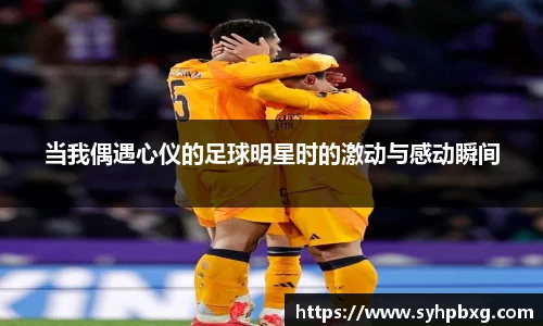YY体育官网